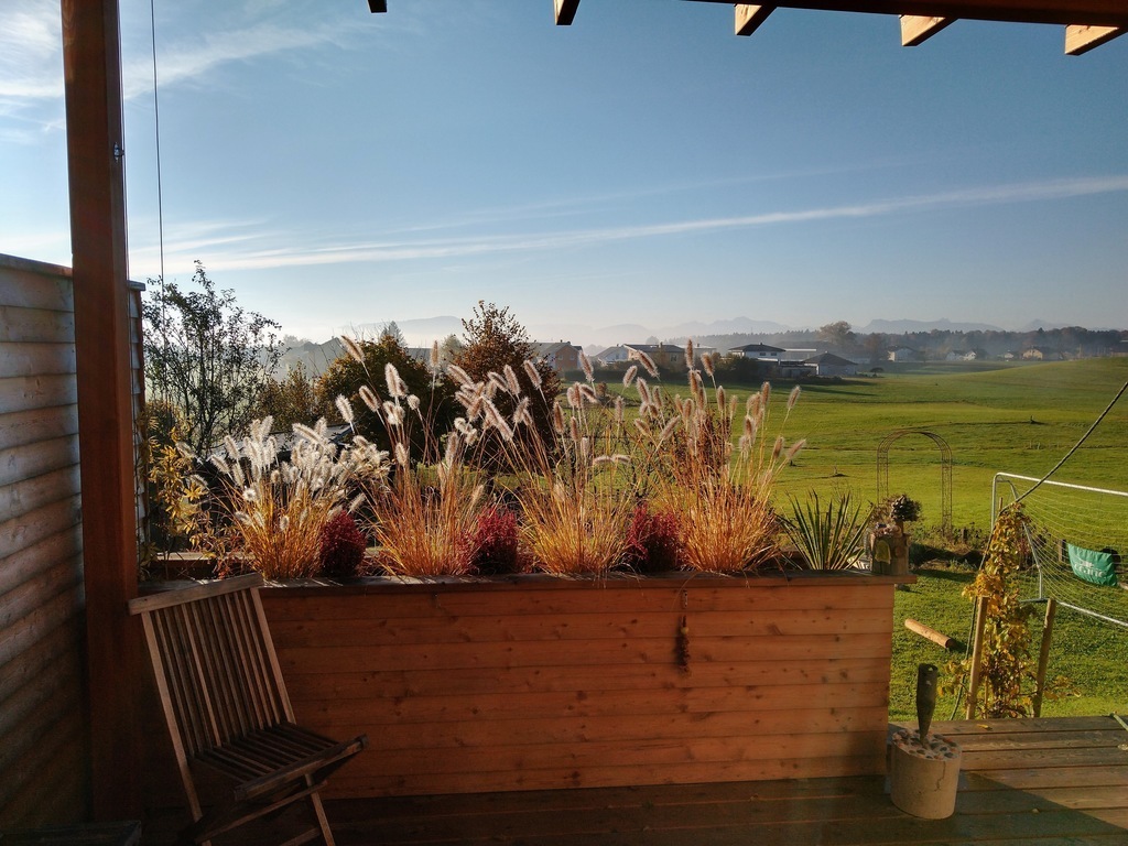 view from terrace (autumn)