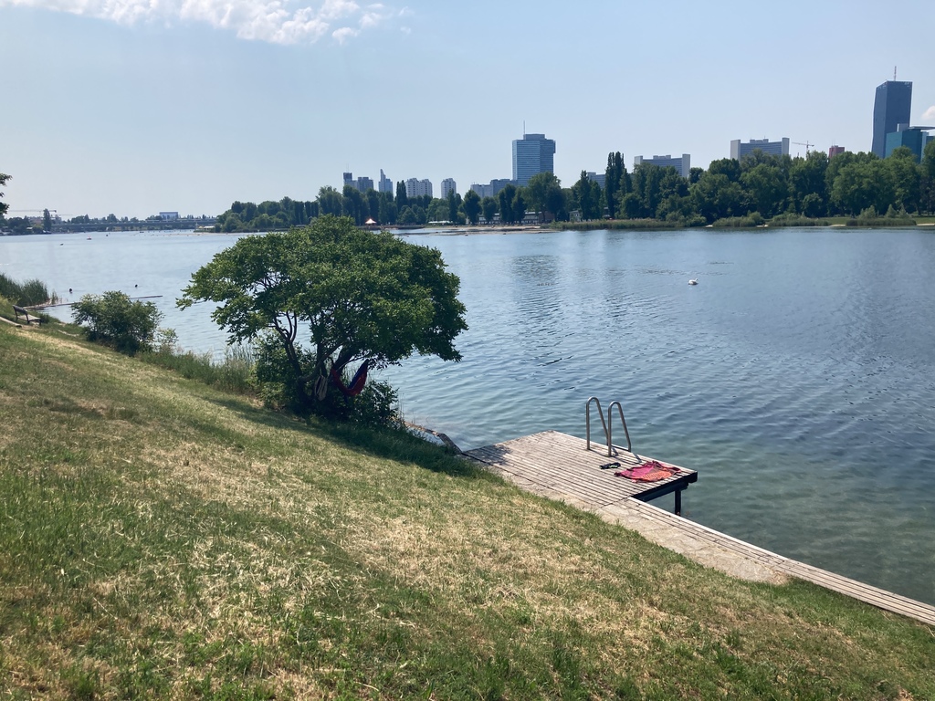 directly in front of the house