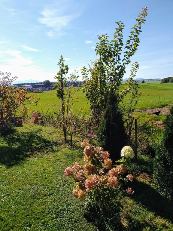 view from garden to the west