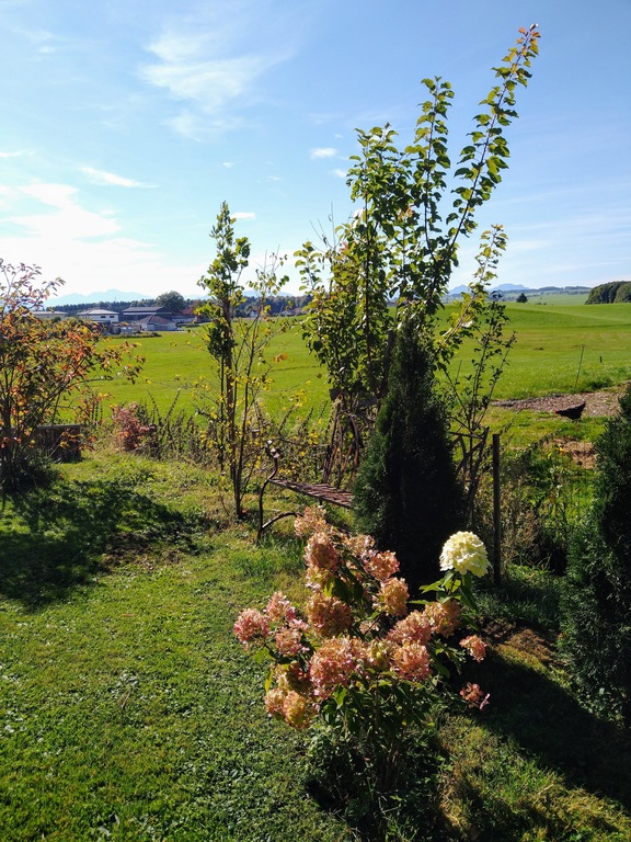 view from garden to the west