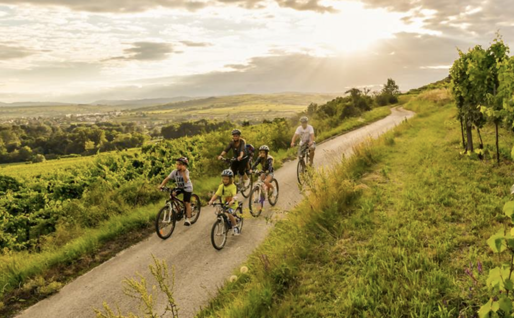 Biking in the wineyards nearby