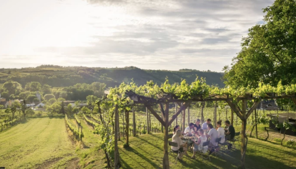 Local wine tavern aka "Heuriger" in Zöbing