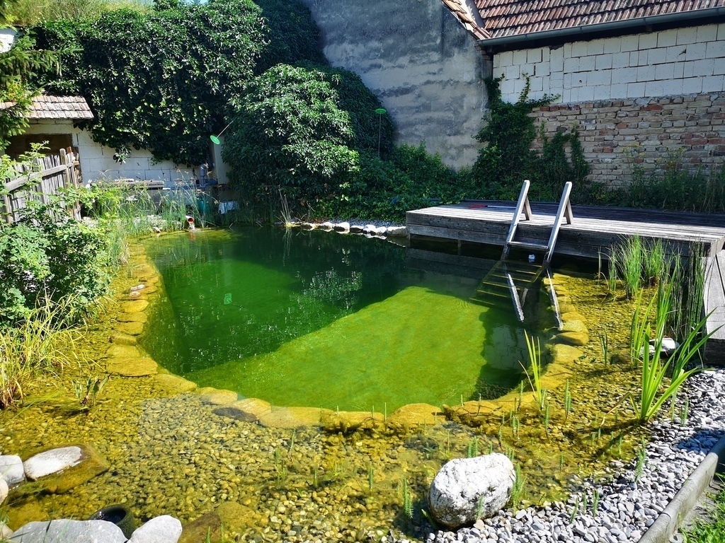 our secluded swimming pond