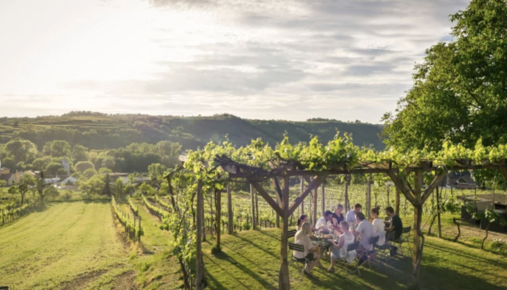 Local wine tavern aka "Heuriger" in Zöbing