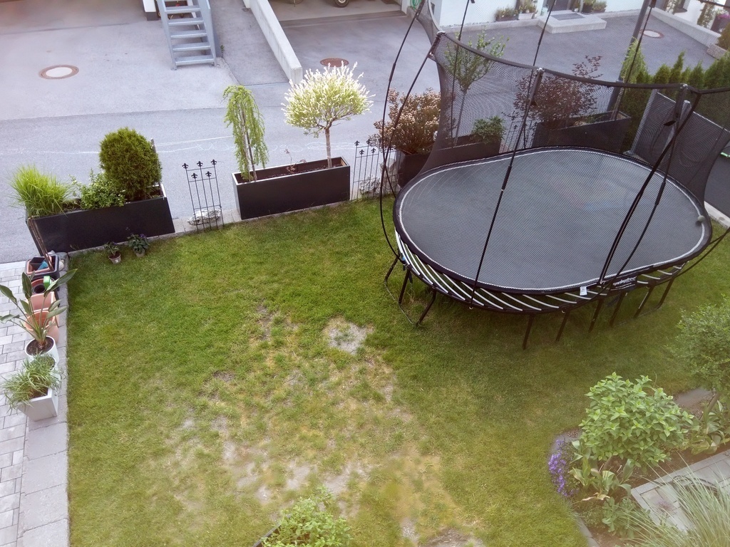 front garden with trampoline