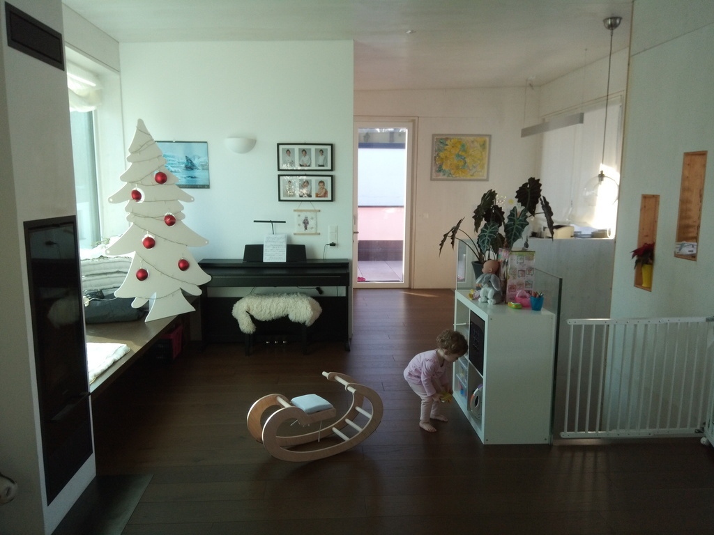 living (left side: wood stove + oven bench)