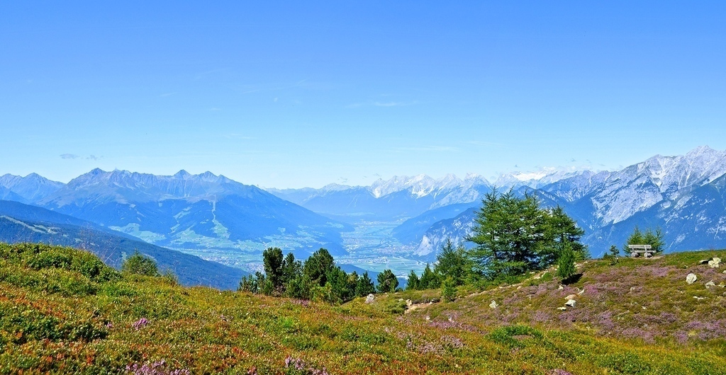 above Innsbruck: family-friendly Pine Hike