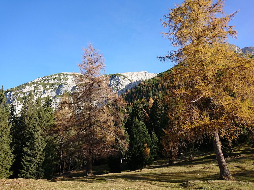 mountains (everywhere)