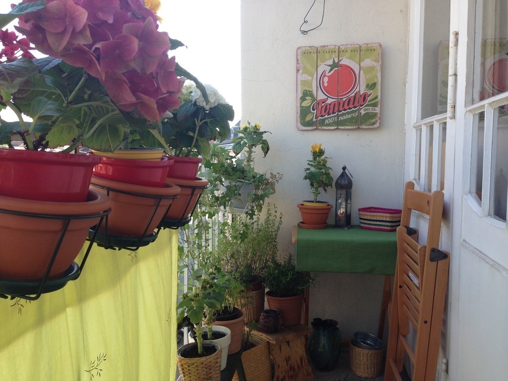 The apartment has a small balcony