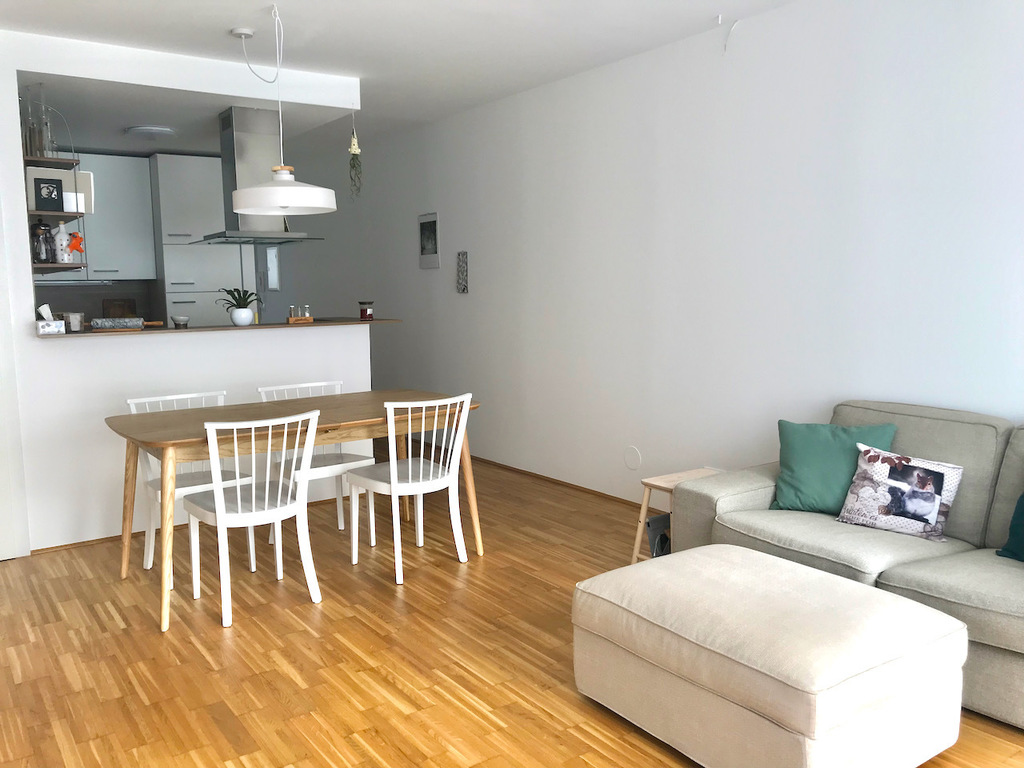 Spacious Kitchen-Living Room
