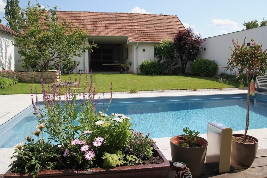 our house - garden side