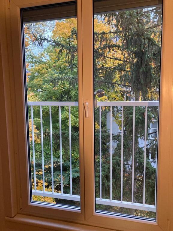 View from living room