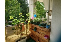 Balkon im Sommer / balcony during summer