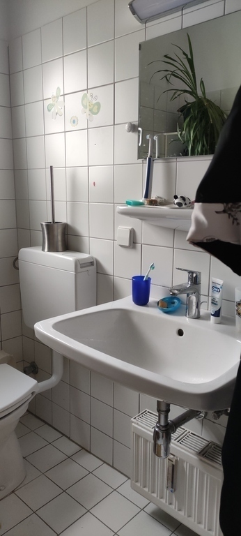 Kleines Bad mit Dusche / small bathroom with shower