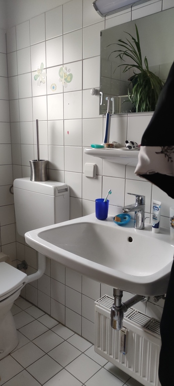 Kleines Bad mit Dusche / small bathroom with shower