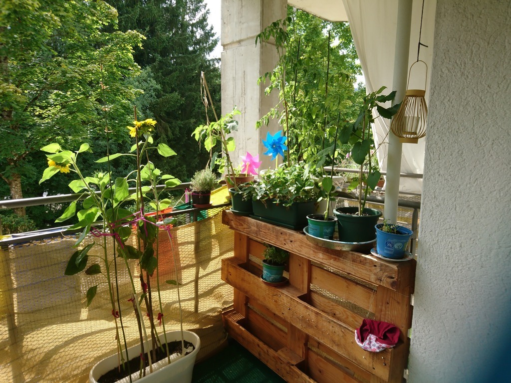 Balkon im Sommer / balcony during summer