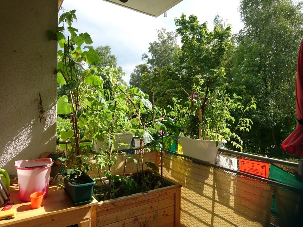 Balkon im Sommer / balcony during summer