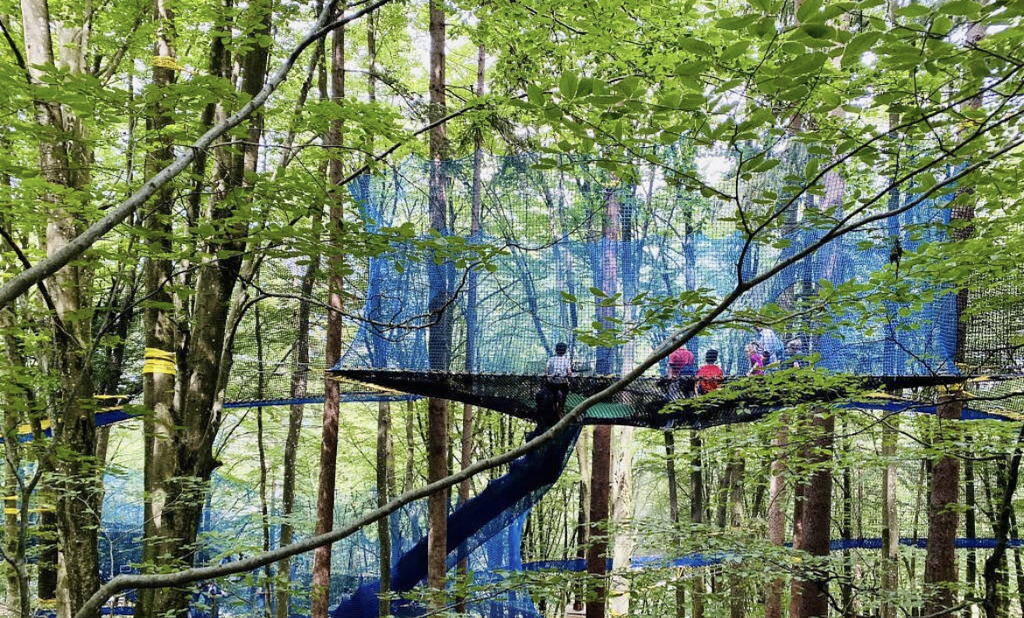 Adventure park in the woods (ossiach 35 min drive)
