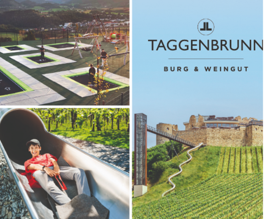 Burg Taggenbrunn: A day to enjoy (appr. 20 min. from us)