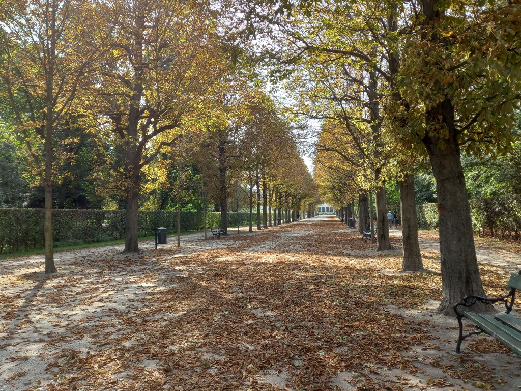 Augarten park behind the house