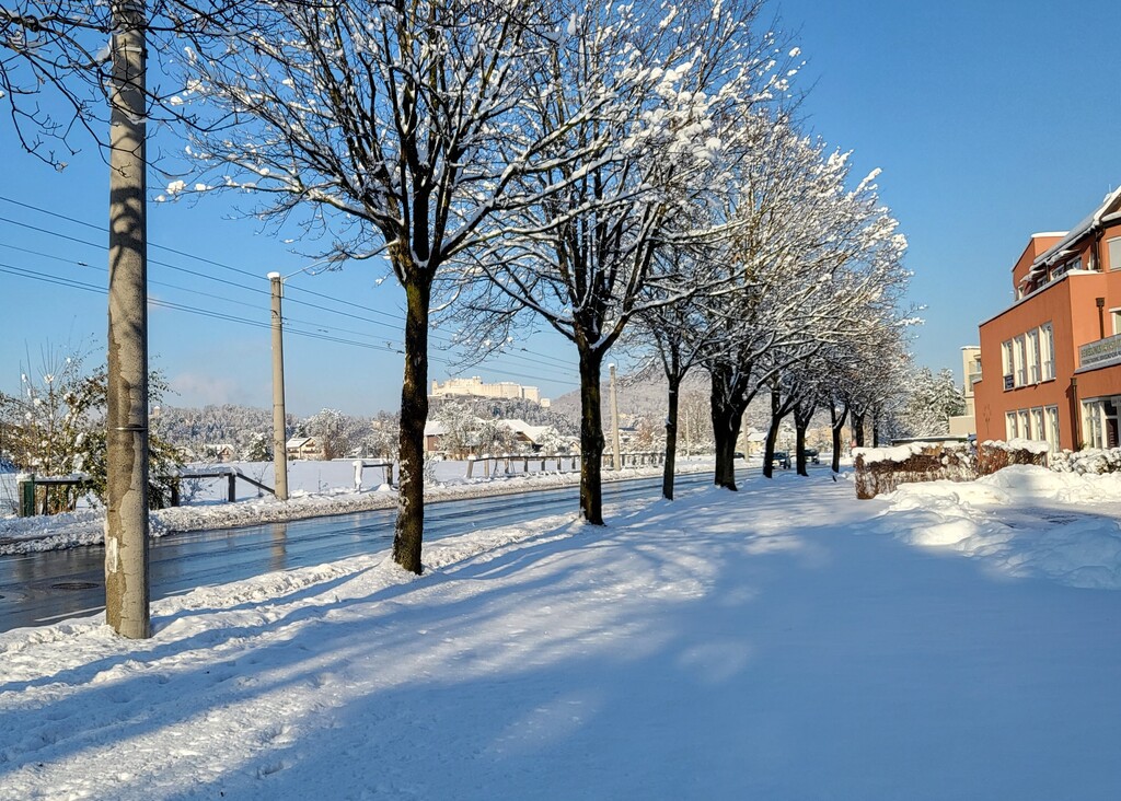surroundings of the house