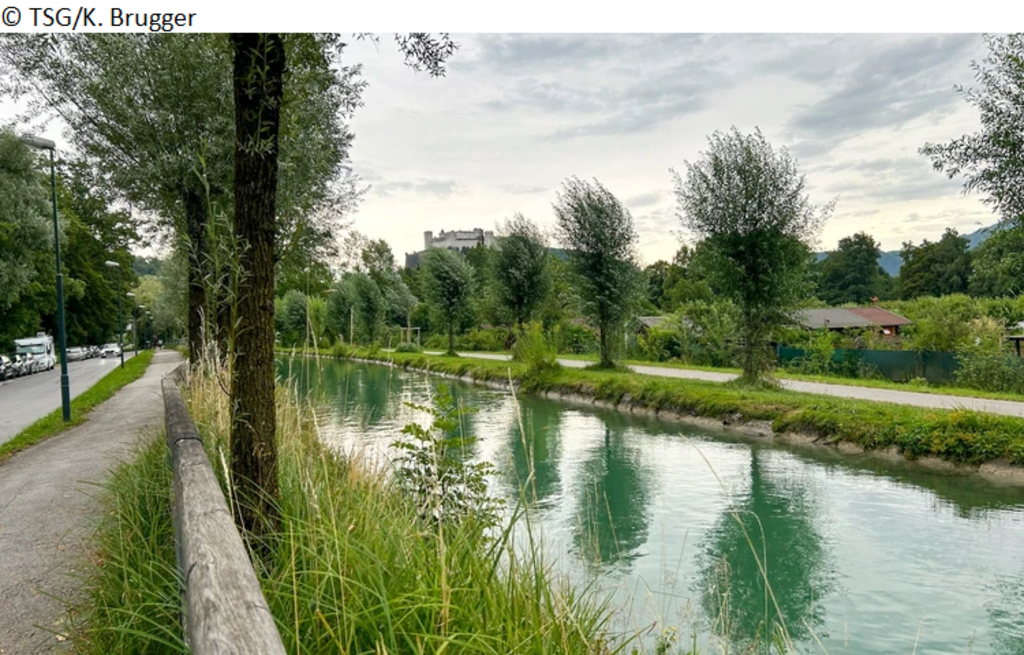 Alm "canel", around the corner, perfect for walking or taking a bath