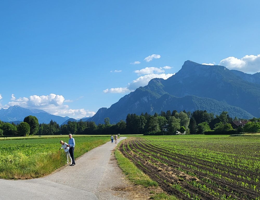 surroundings of the house