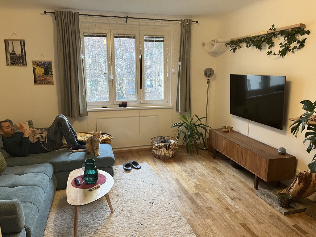 Living room facing south