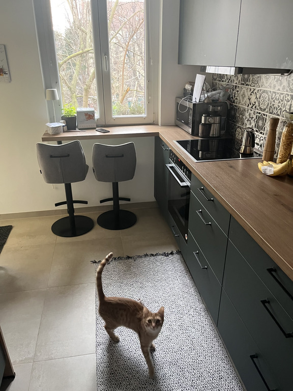 Kitchen and Oskar