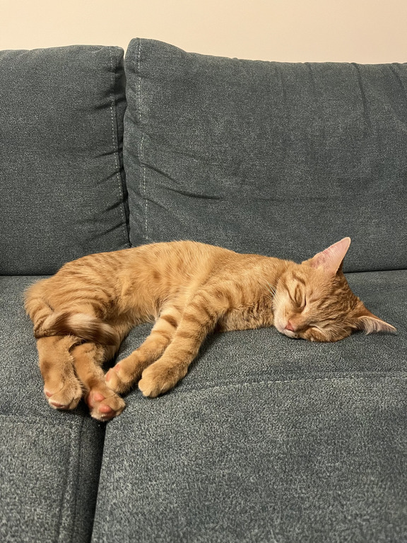 Oskar while dreaming