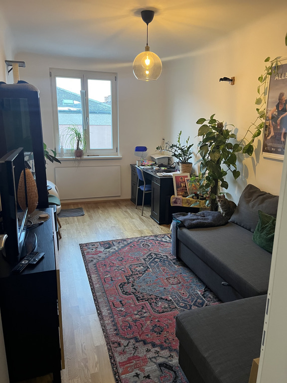 Guest room (with a sleeping sofa), home office and cats room