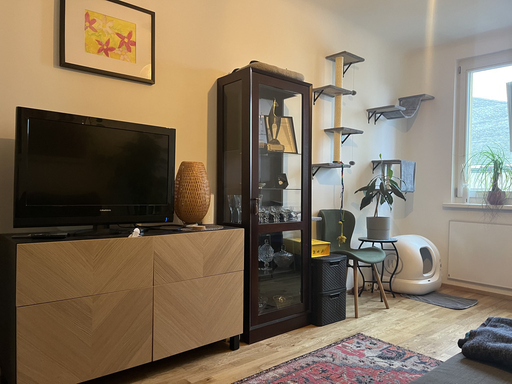 Guest room (sleeping sofa), home office and cats room