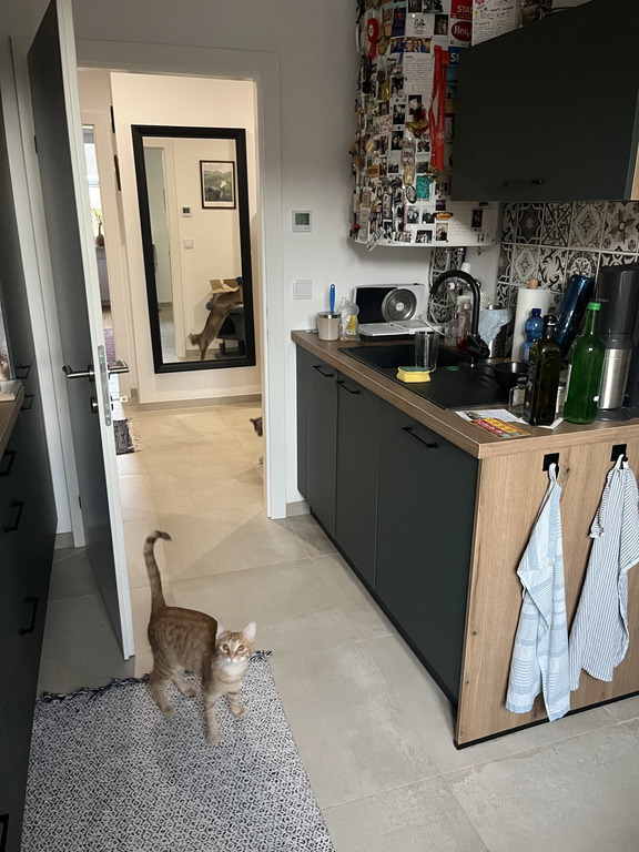 Kitchen with Oskar again