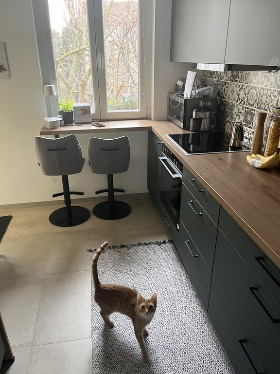 Kitchen and Oskar