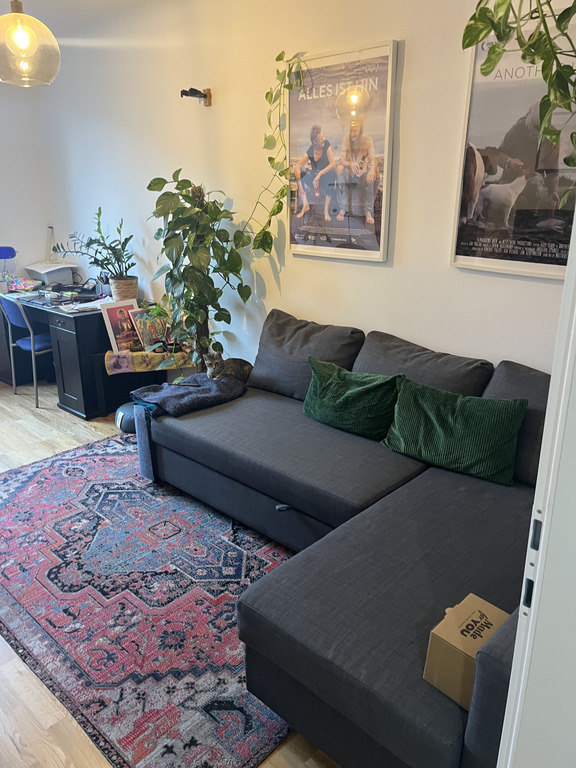 Guest room (sleeping sofa), home office and cats room