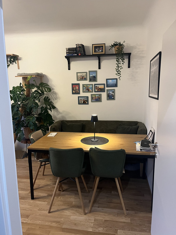 Living room and dining area