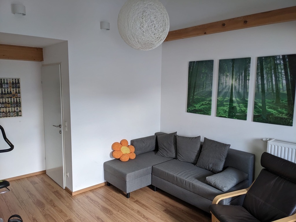 Gemütliches Dachgeschoss mit Couch 