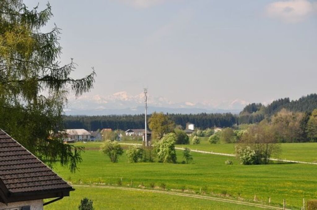 Viel unberührte Natur um die Siedlung 