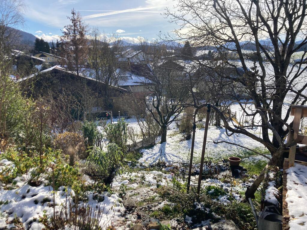 view from the terrace