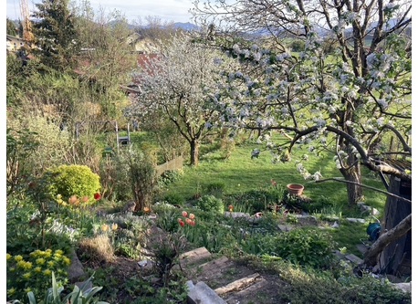 the view from the terrace into the garden in spring