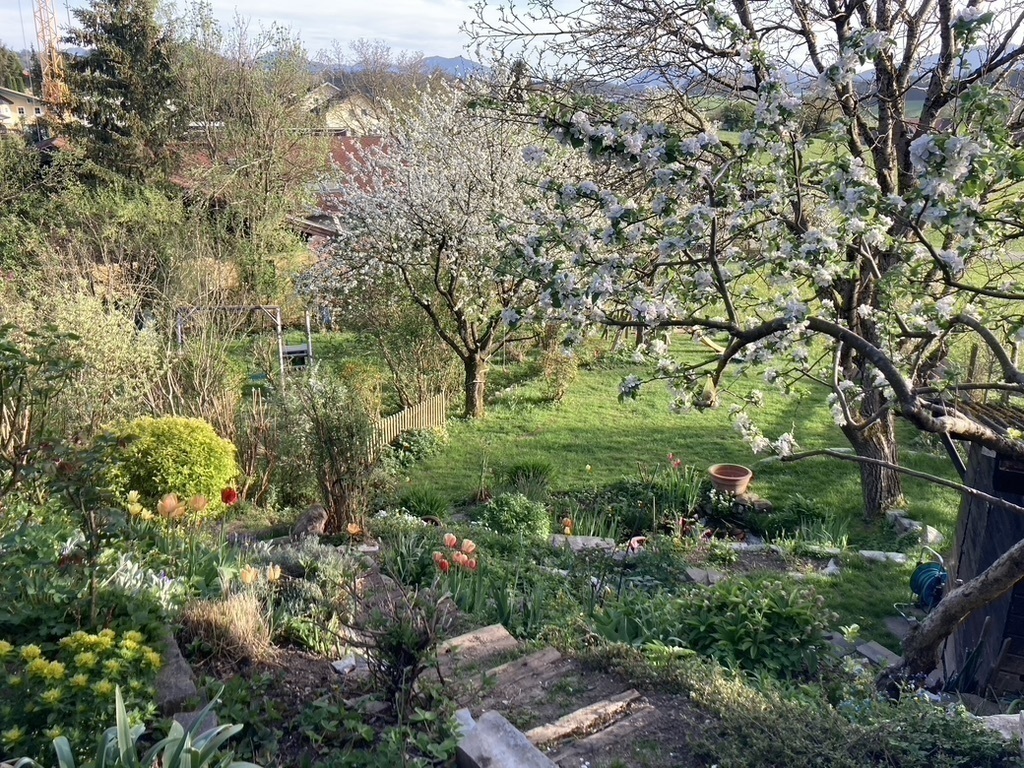 the view from the terrace into the garden in spring