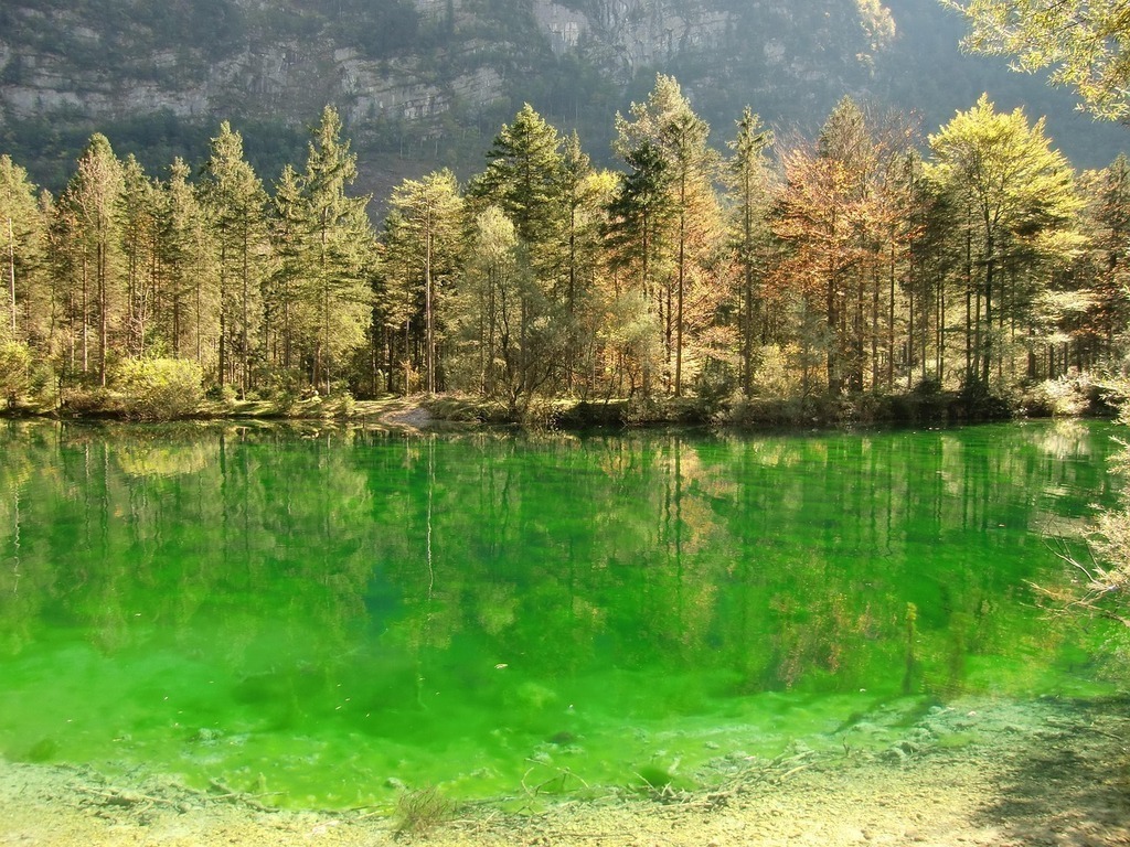 Bluntautal - 1 hour by car