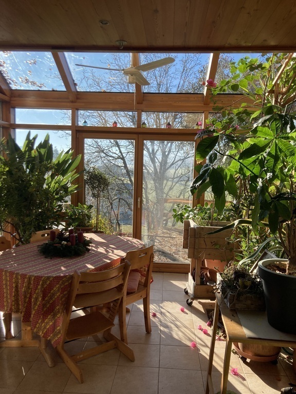 the winter garden