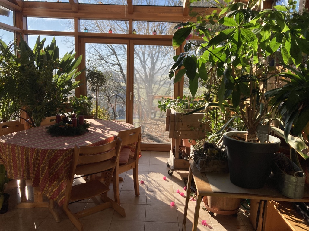 the winter garden