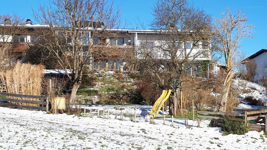 the back view of the house