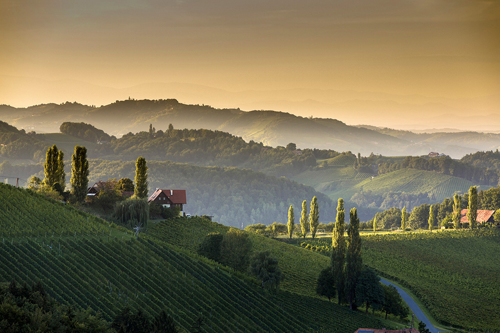 Südsteirische Weinstraße