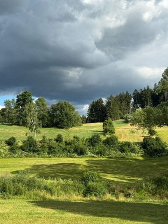 Aussicht vom Wohnzimmer