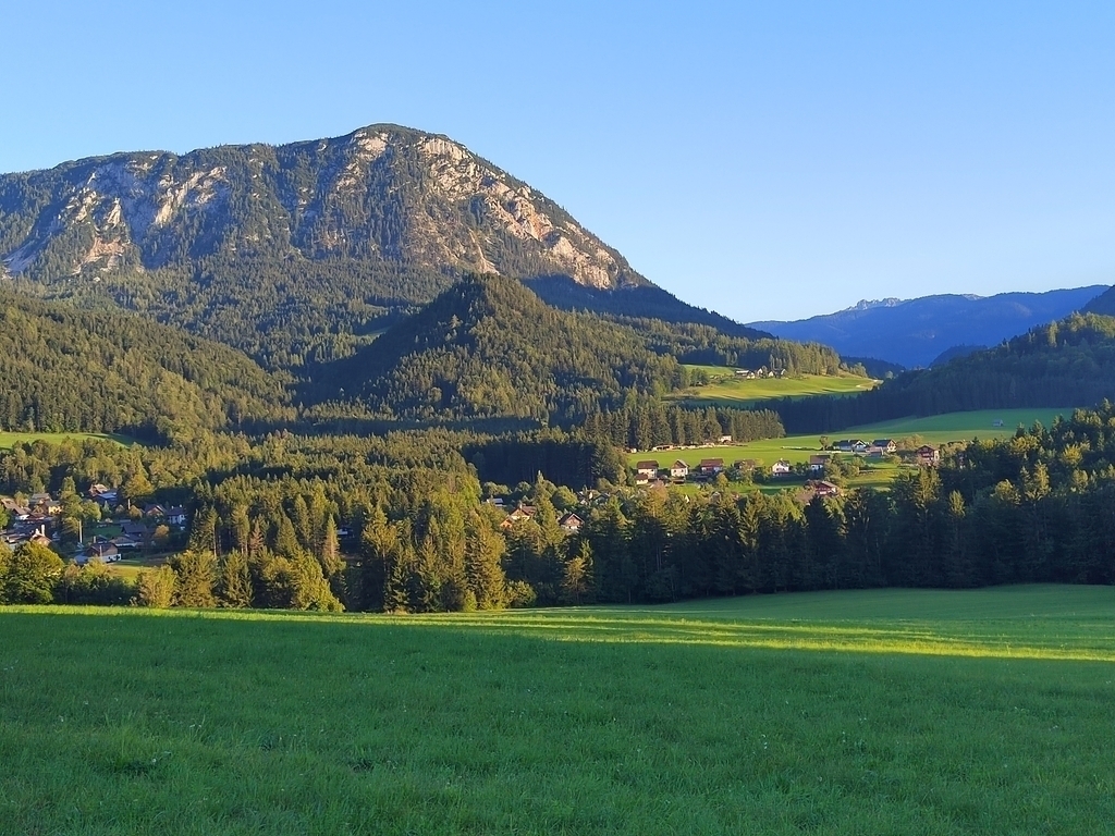 Blick aus dem Garten