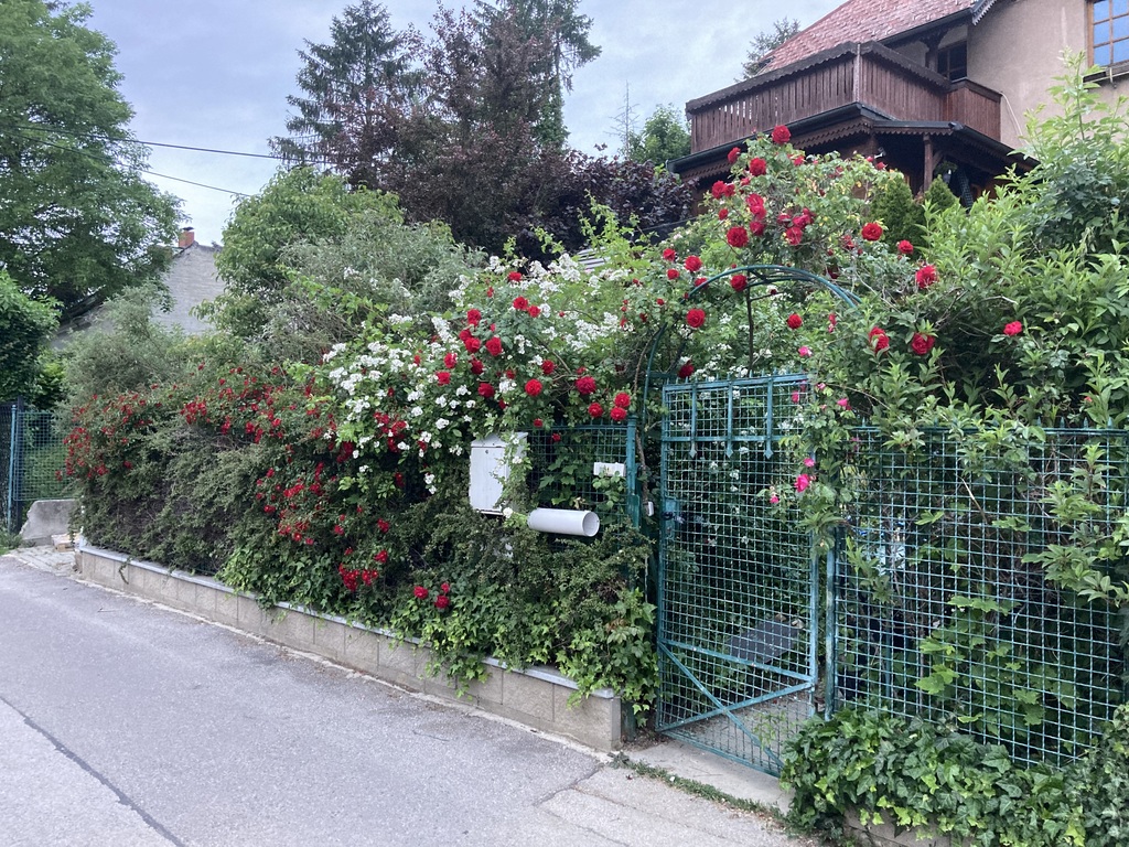 Garten und Haus  in Klosterneuburg