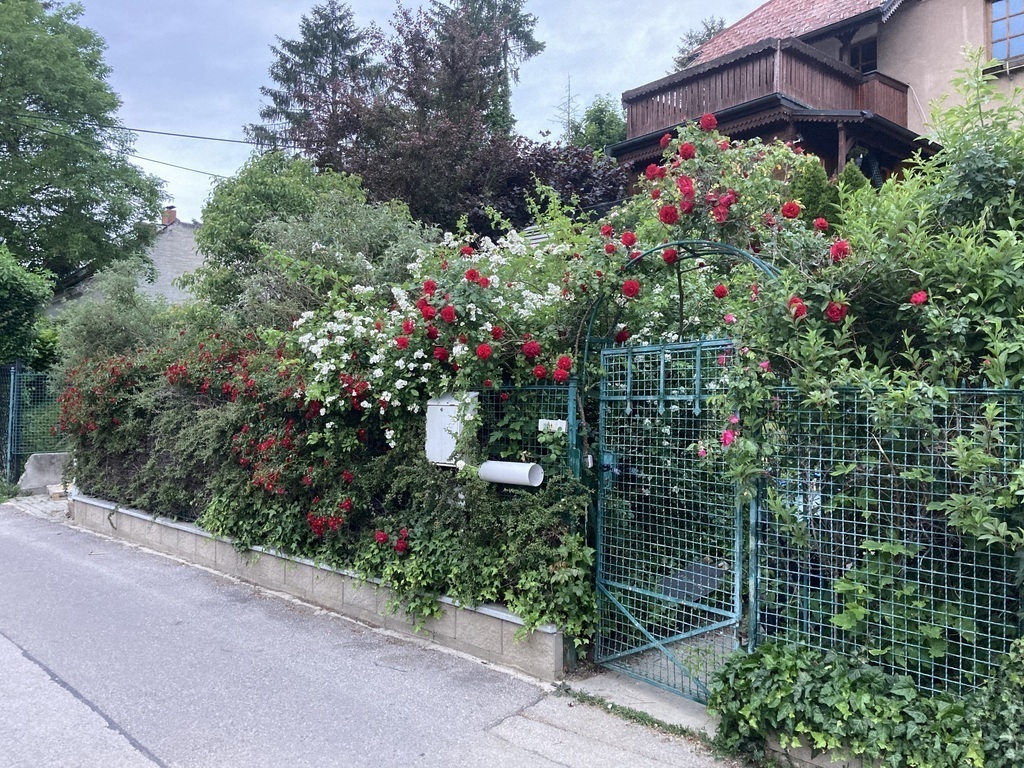Garten und Haus  in Klosterneuburg